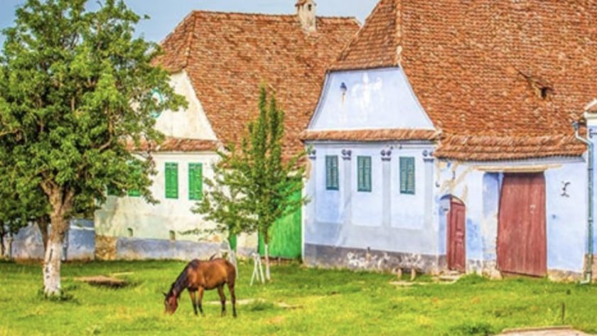 Screenshot 2021-11-29 at 14