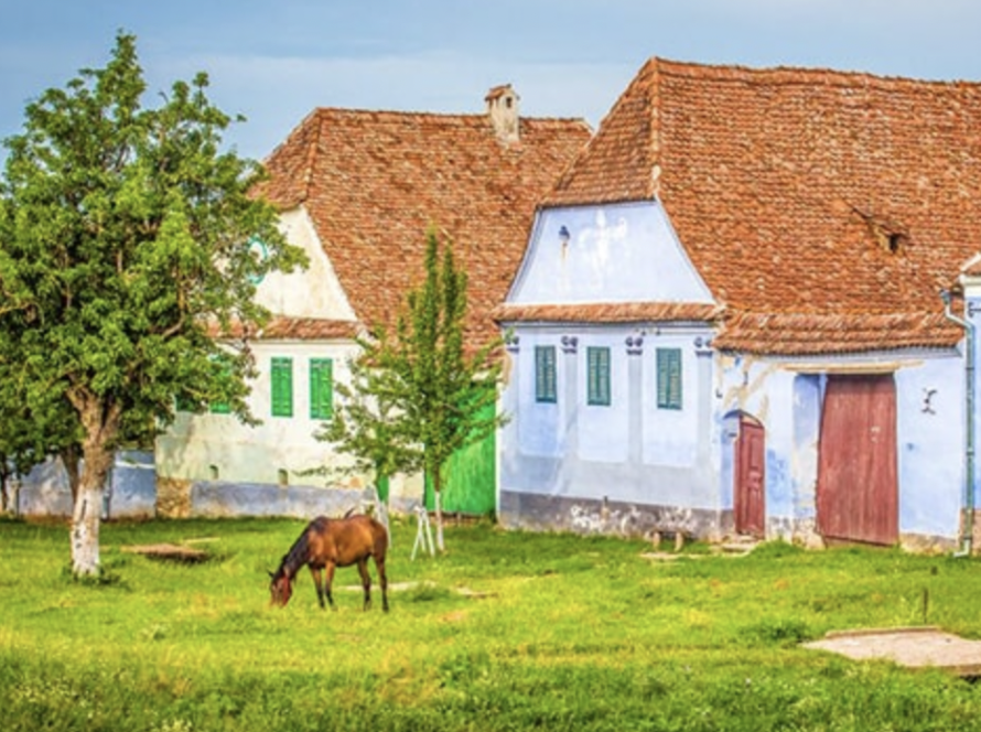 Screenshot 2021-11-29 at 14