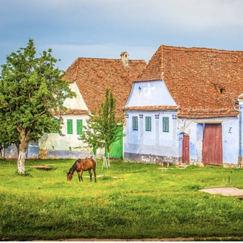 Screenshot 2021-11-29 at 14