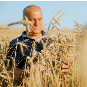 Captură de ecran din 2023-09-11 la 11