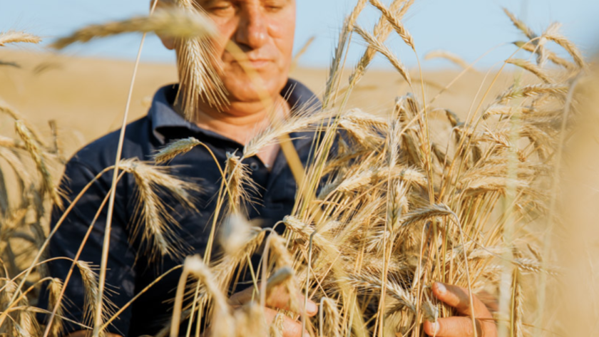 Captură de ecran din 2023-09-11 la 11