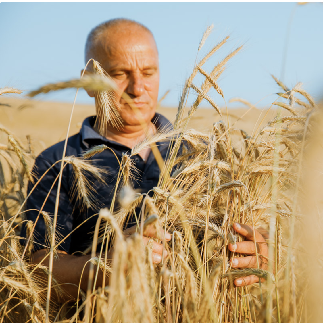 Captură de ecran din 2023-09-11 la 11
