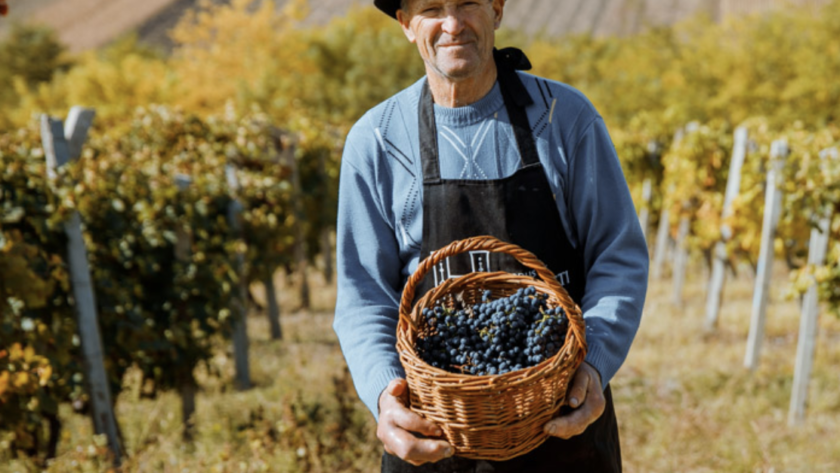 Captură de ecran din 2023-09-11 la 11