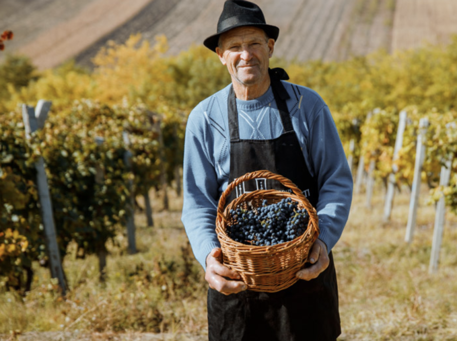 Captură de ecran din 2023-09-11 la 11