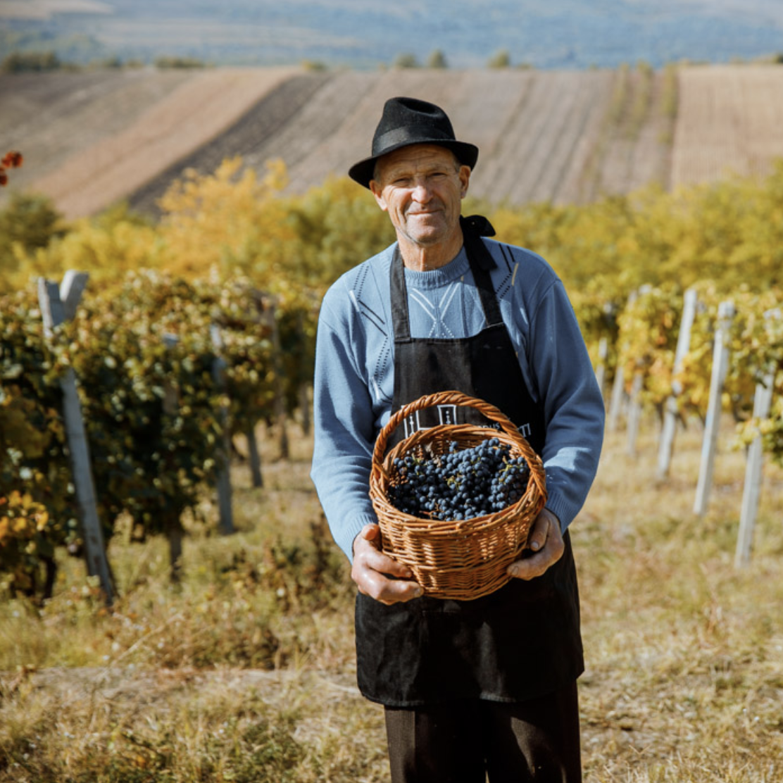 Captură de ecran din 2023-09-11 la 11