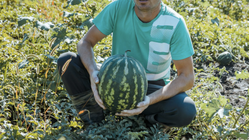 Captură de ecran din 2023-09-11 la 11