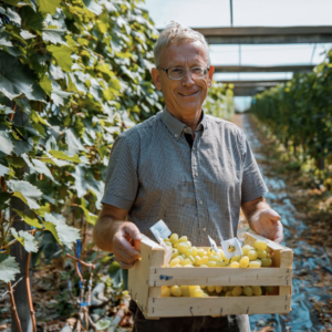 Captură de ecran din 2023-09-11 la 11