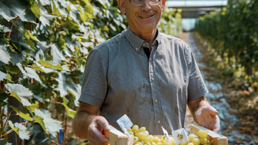 Captură de ecran din 2023-09-11 la 11