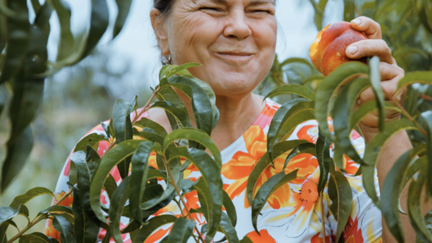 Captură de ecran din 2023-09-11 la 11