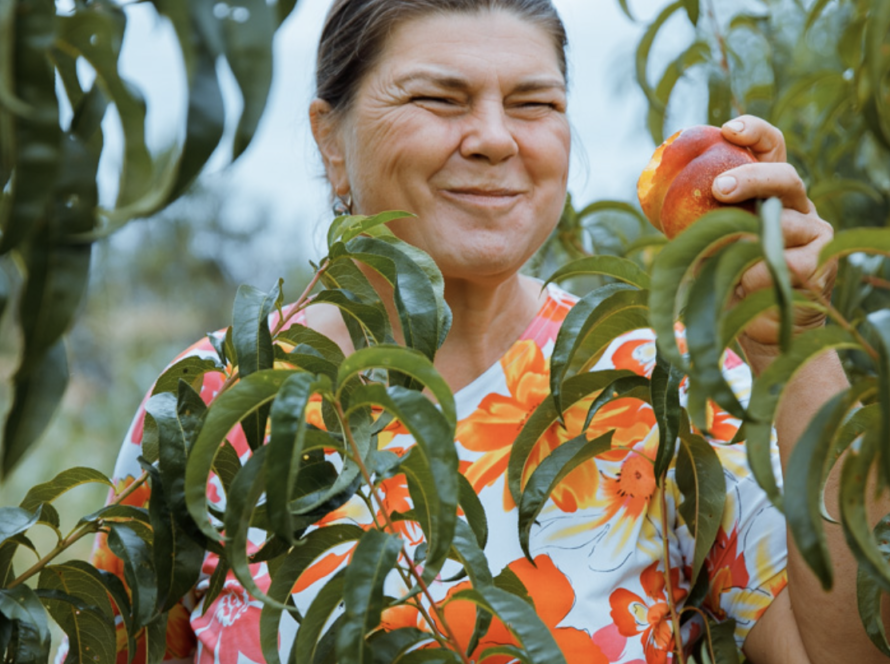 Captură de ecran din 2023-09-11 la 11