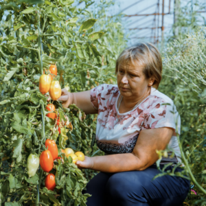 Captură de ecran din 2023-09-11 la 11