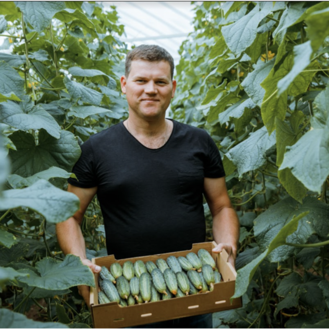 Captură de ecran din 2023-09-11 la 12