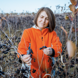 Captură de ecran din 2023-09-11 la 12