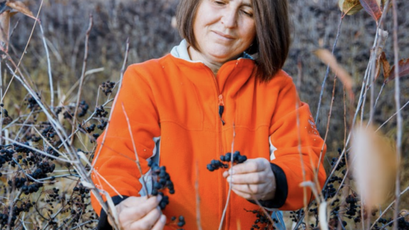 Captură de ecran din 2023-09-11 la 12