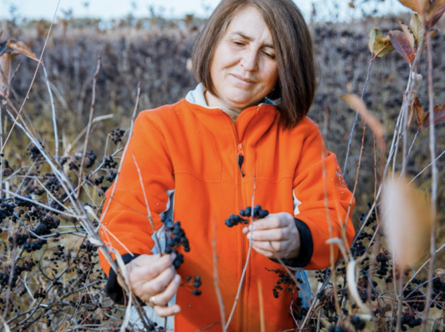 Captură de ecran din 2023-09-11 la 12