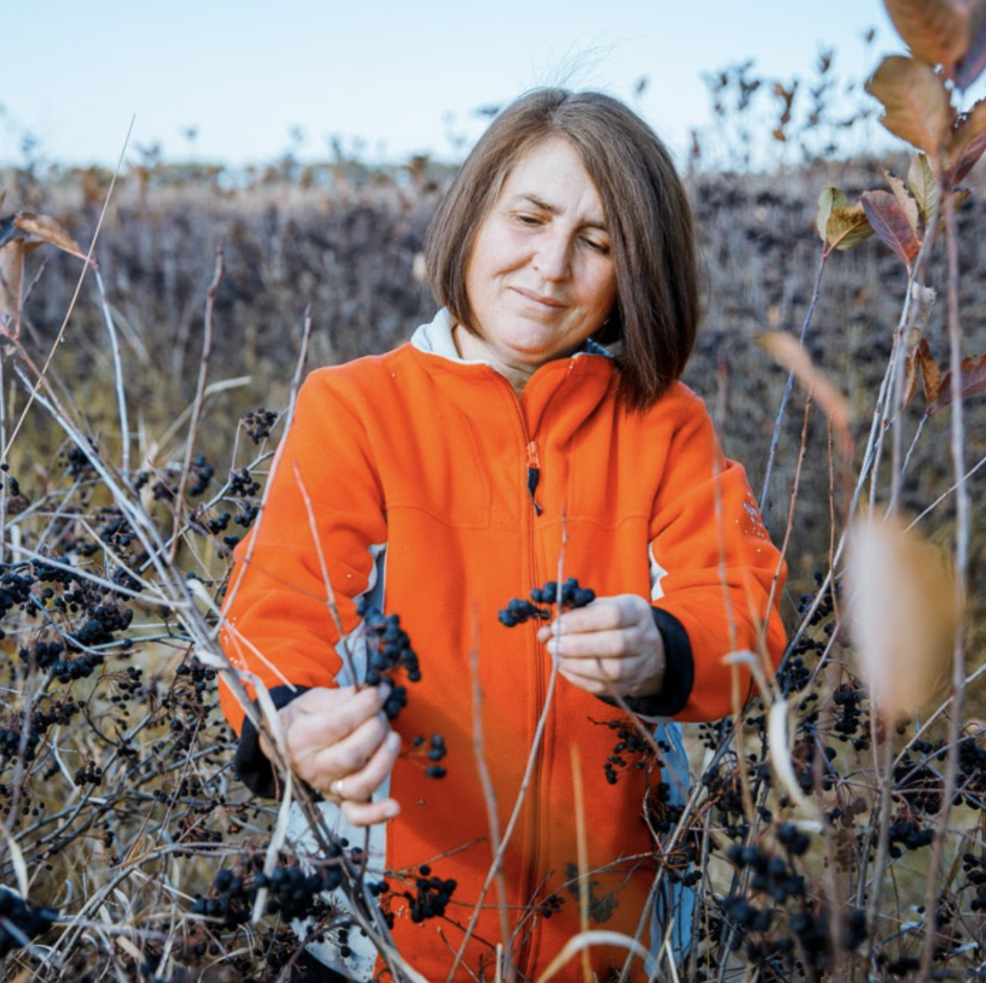 Captură de ecran din 2023-09-11 la 12