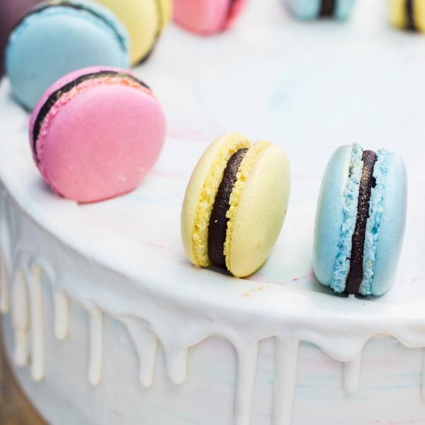 33901960_1850266461679725_6573447983398912000_n_1