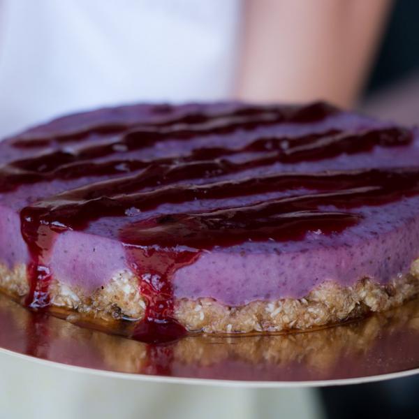 61269249_2379418675431165_6728189852572975104_n