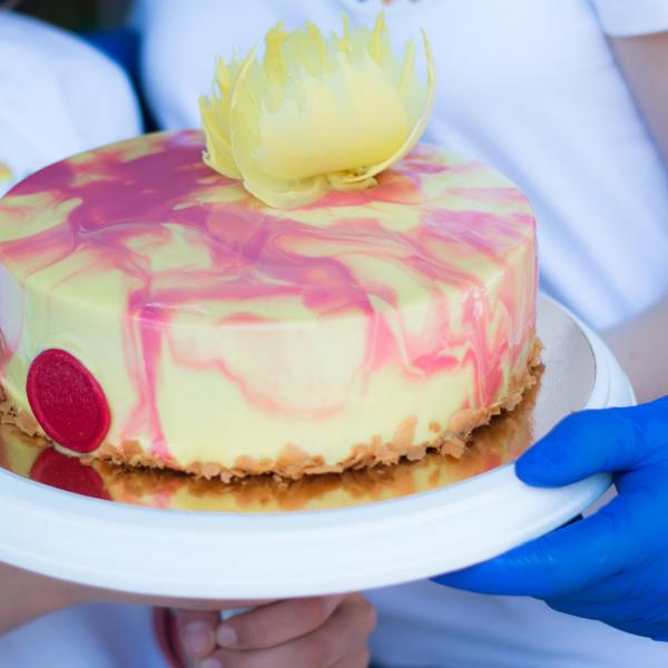 61559212_2379412305431802_5231322865776721920_n