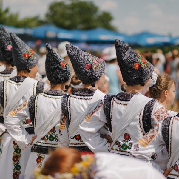 66108459_2451251054914593_7235293299727138816_n