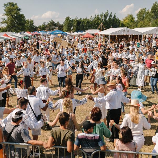 66390146_2451257678247264_2507854326374858752_n