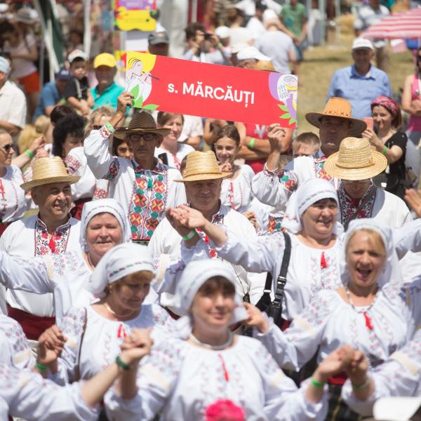 66394822_2455971537775878_2276522706297946112_n