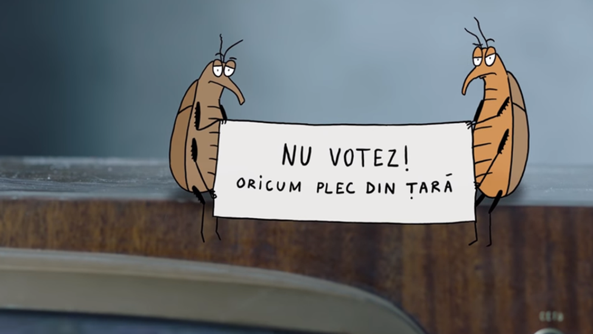 Nu fi gândac, votează!